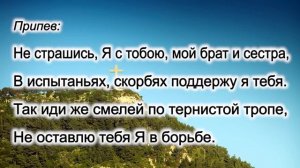 Если невзгоды ты встретишь в пути (минус)