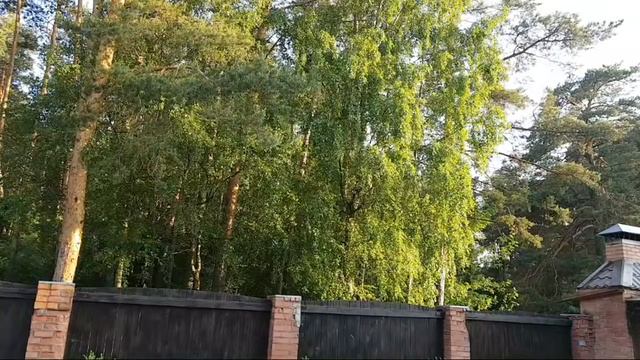 ИСТИННАЯ ПРИЧИНА ТРАВЛИ...