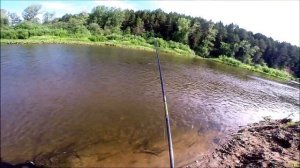 Река Ирень.Ловля голавля и хариуса на малой реке  бомбардой.Мини отчет по выезду на реку