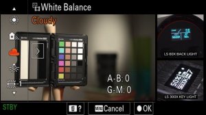 How To Set White Balance - Sony FX3 / FX30 / A7SIII
