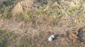 МОИ НАСТРОЙКИ ТХ-850. КАК ЗАЩИЩАЮСЬ ОТ КЛЕЩЕЙ?