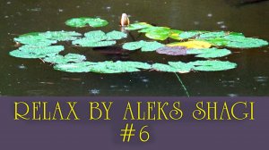 Relax by Aleks SHAGI #06 Кувшинка и дождь - успокаивающая музыка для медитации. 2021-0908