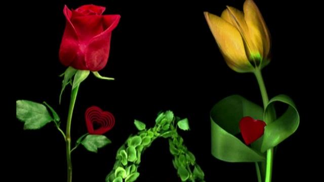 Лидолия Никитина - Участь цветов. Читают Элла Якубенкова и Владислав Витковский смотреть онлайн