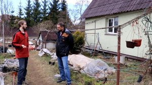 Агротехника и технология выращивания винограда на Северо-Западе. Советы профессионала.
