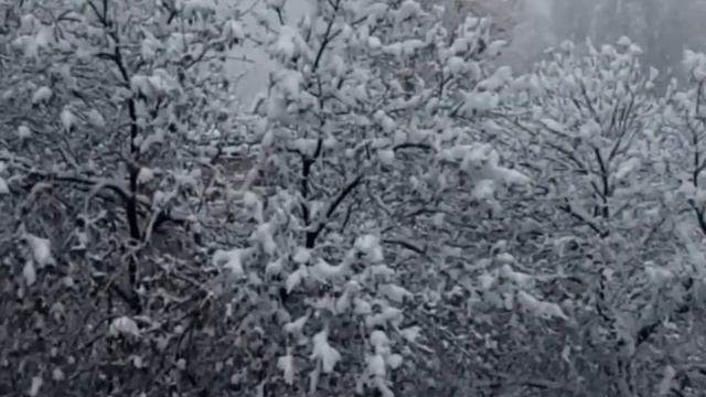 Мороз и солнце! смотреть онлайн