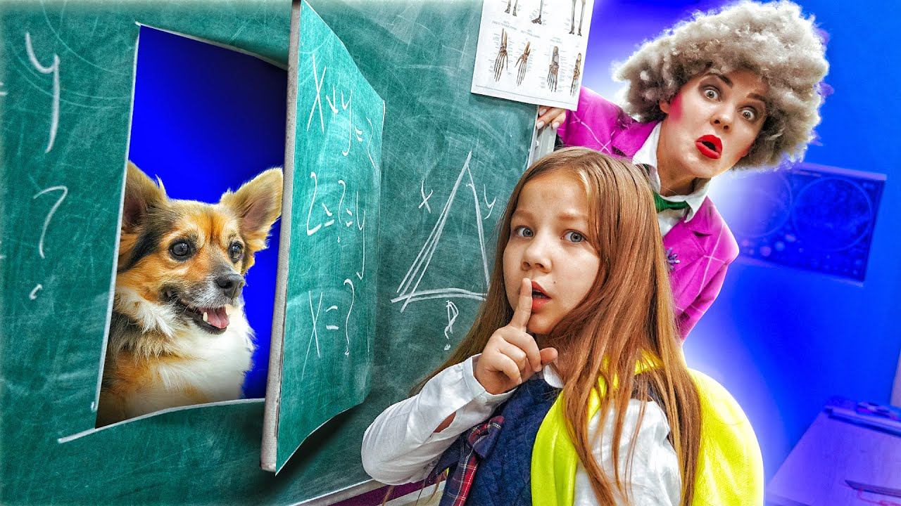 Учительница собака. Школа для собак. Собака учительница.