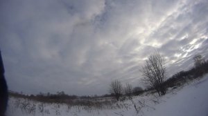 Охота на куропаток зимой.