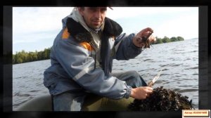 Рыбалка в Разнежье