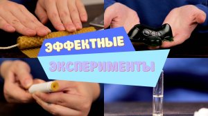 Большая лаборатория ароматов – видеообзор