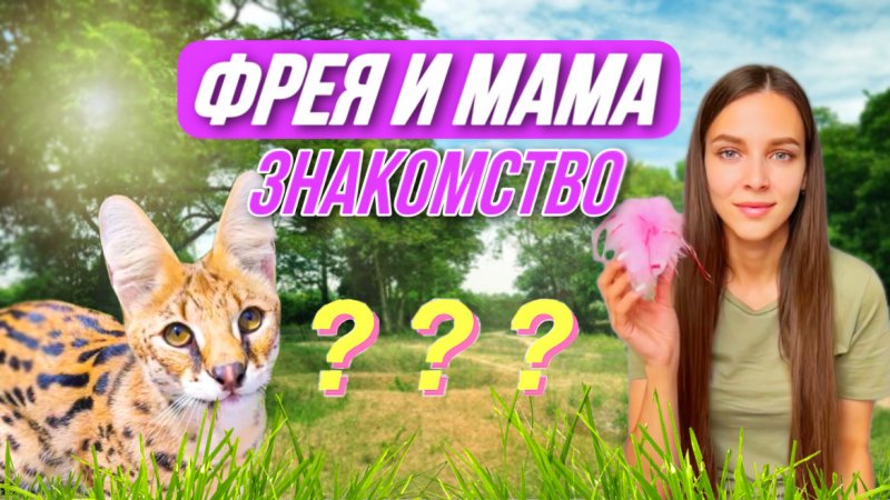 Девочка сервал Фрея привыкает к маме ?