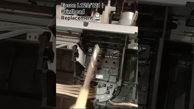 Epson L120 | Epson L121 | Printhead Replacement ?️