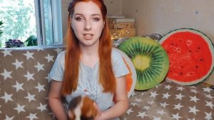 КАКАЯ ПОРОДА У АРНОЛЬДА? НОВЫЙ СТЕЛЛАЖ ДЛЯ СВИНОК? ВОПРОС - ОТВЕТ SvinkiShow