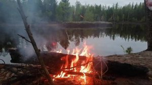 По рекам Ямала. Часть 2. Река Пяку-Пур.