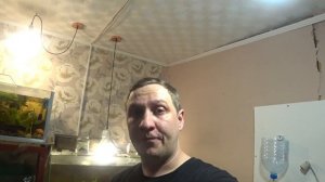 Аквариум для петушка из 5 литровой бутылки