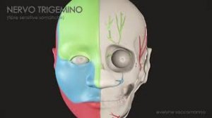 Невралгия тройничного нерва.