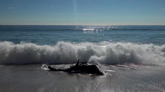 PARADISE COVE: Обзор района в Малибу. Покупка дома в США на океане. #домвсша #риелторвлосанджелесе