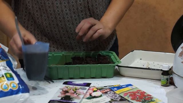 РОЗА ИРЛАНДСКАЯ | ЭУСТОМА | СЕКРЕТЫ ПОСАДКИ ИЗ СЕМЯН смотреть онлайн