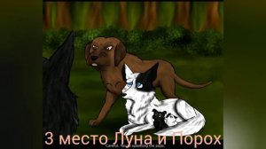 Топ 4 моих самых любимых пар из Хроники Стаи