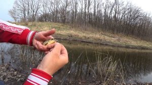 ???Секретная? манка? для карася?-рыбалка? на карася?.#рыбалка #карась #ловлякарася#карасьнаманку