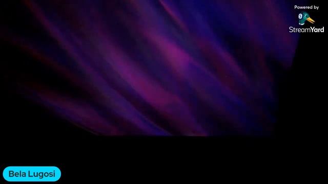 LIVE Reading Fight Club (Part 2) Chapters 8-14 смотреть онлайн