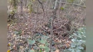 В Анапе открыт грибной сезон!