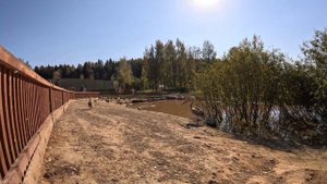 Парк-приют - "Земля Прайда".