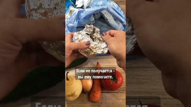 Развивающая игра для детей Веселый садовник