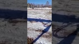 Компания «СваиДом» о профильной трубе для обвязки фундамента на винтовых сваях.