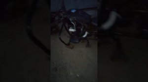 Клин мотора Днепр, часть 2 #мото #62fb #днепр