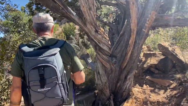 Гранд каньон. Спуск к реке Колорадо! смотреть онлайн