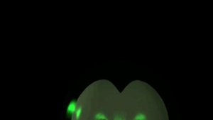 Five Nights at Treasure Island; The Collection - All DUMPscares