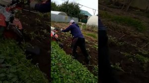 Мотоблок Угра вспашка