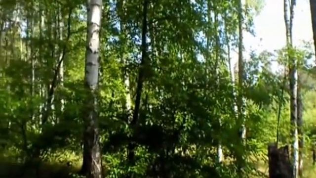 Свежее утро смотреть онлайн