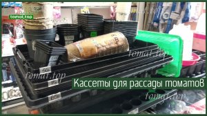 Кассеты для рассады томатов. Плюсы и минусы. Безопасность и практичность. Стоит ли покупать