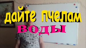 Что нужно сделать что бы не потерять пчелиную семью ранней весной