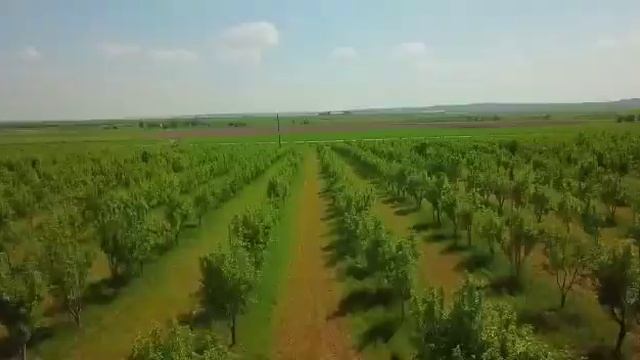 ТОО Алан и Компания. Переработка овощей и фруктов. Республика Казахстан. смотреть онлайн