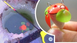 РЕАЛЬНЫЕ ПОКЛЁВКИ НА ПОПЛАВОК с лепестками В ЛУНКЕ НА ЗИМНЕЙ РЫБАЛКЕ