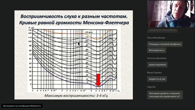 Звуковая радуга и особенности распознавания звуков человеком