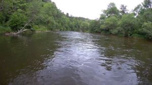река Манома 12.06.2020