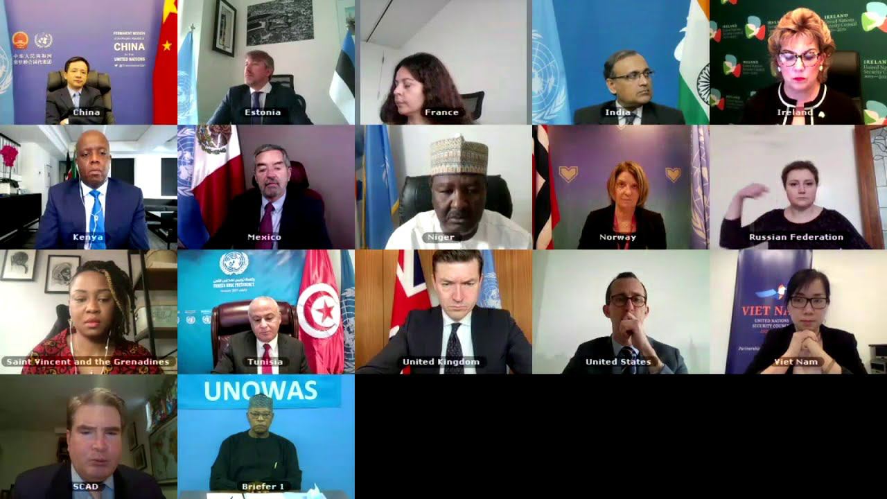 Statement by DPR Anna Evstigneeva at the VTC of UNSC members on the activity of UNOWAS