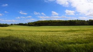 Звуки ветра на поле. Музыка для релакса, медитация, крепкого сна