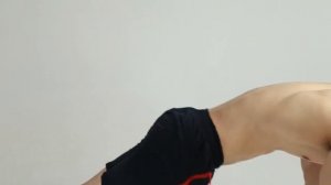 Twisting the torso on the arm / Скручивания туловища в упоре на руках