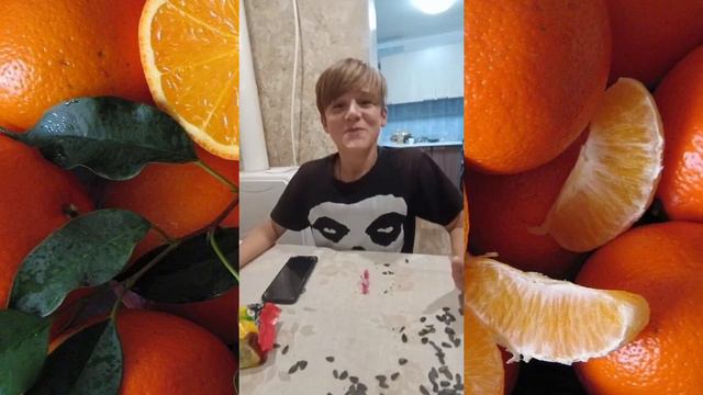 ЛУЧШИЕ СЕМЕЧКИ 2023? ОБЗОР НА КУКУСИКИ🤑🤑🤑 смотреть онлайн