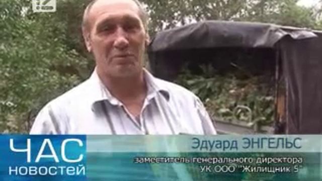 Опасное растение паразит облюбовало один из омских дворов