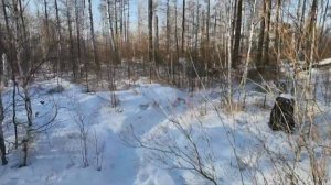 Дорога на Смоленские скалы. Небольшой обзор. Полёты на Dji mini se.