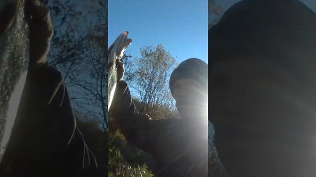 Рыбалка на реке Осётр осень ведущий специалист Савичев Николай смотреть онлайн