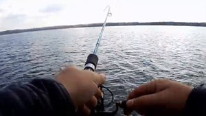 Большой окунь на ультралайт с отводным поводком