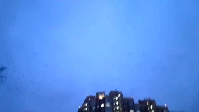 Вороны напали на Краснознаменск =) смотреть онлайн