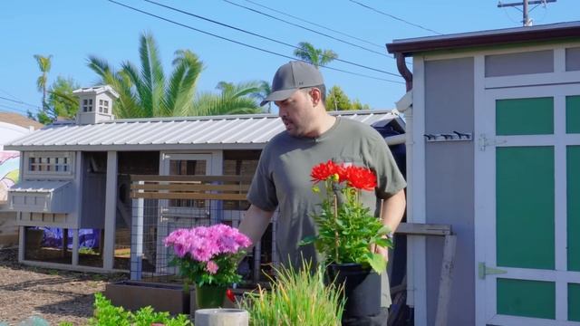 Planting a FOREST of Dahlias! смотреть онлайн