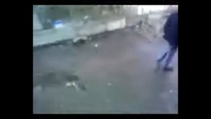 Дэнчик слазит! Улучшенное видео.